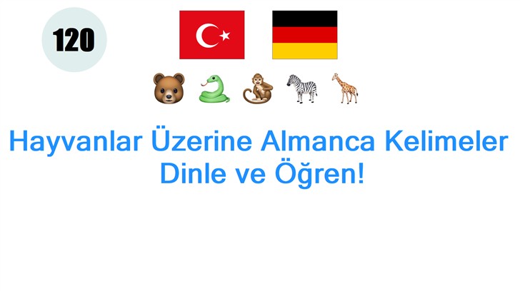 Hayvanlar Üzerine Almanca Kelimeler: Dinle ve Öğren!